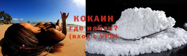 ПСИЛОЦИБИНОВЫЕ ГРИБЫ Рославль